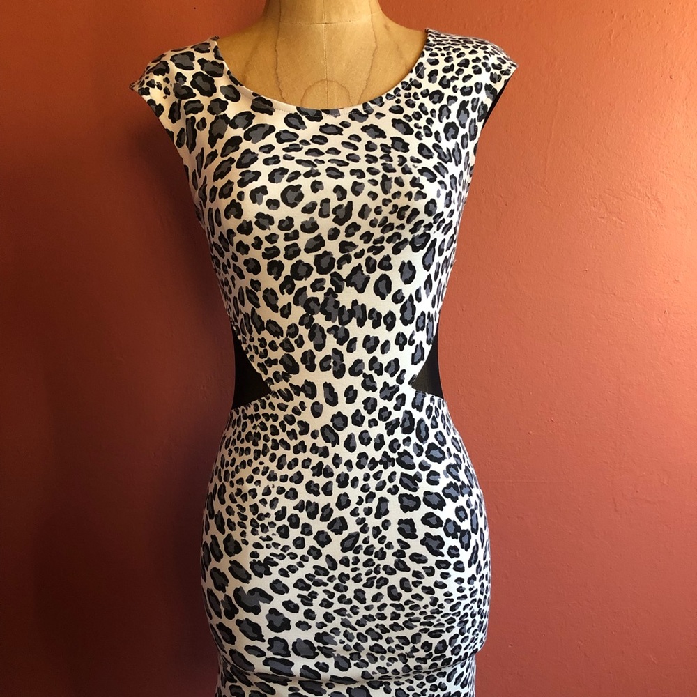 Leopard print dress
